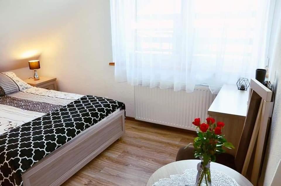 Pokoje Goscinne "Trudzin-Ski" Świeradów-Zdrój Buitenkant foto